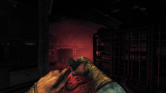 Amnesia: Rebirth + Update 2 screenshot 2