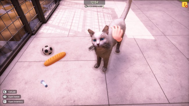 Animal Shelter: Family Bundle (v1.3.19 & 3 DLCS) screenshot 2