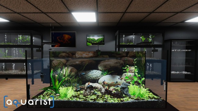 Aquarist: Full Experience Bundle (6 DLCS) screenshot 1