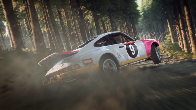 DiRT Rally 2.0: Game of the Year Edition (v2.0 & All DLCs) screenshot 2