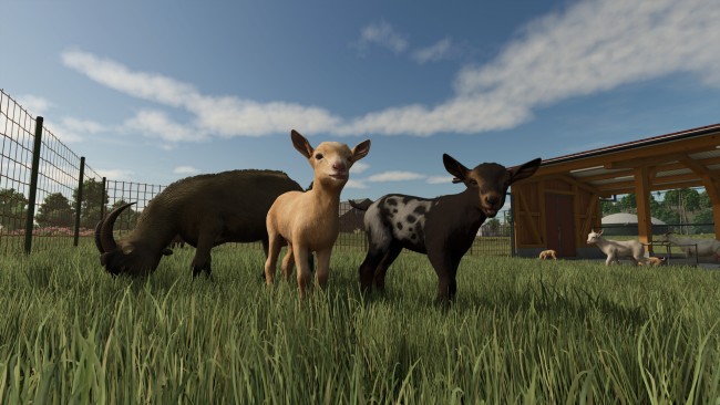 Farming Simulator 25: Year 1 Bundle, (v1.20.0.0 & 11 DLCS) screenshot 2