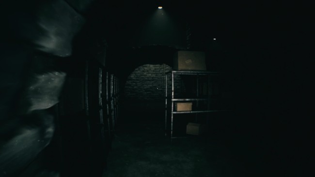 FORSISTED: The Sacred Souls + Windows 7 Fix screenshot 1