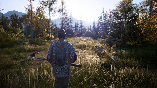 Hunting Simulator 2: Elite Edition (v1.0.0.311.66949 & 4 DLCS) screenshot 1