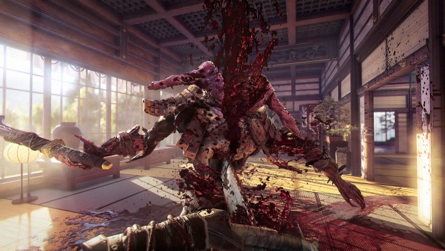 Shadow Warrior 2: Deluxe Edition, (v1.1.14.0 & 9 DLCS) screenshot 2